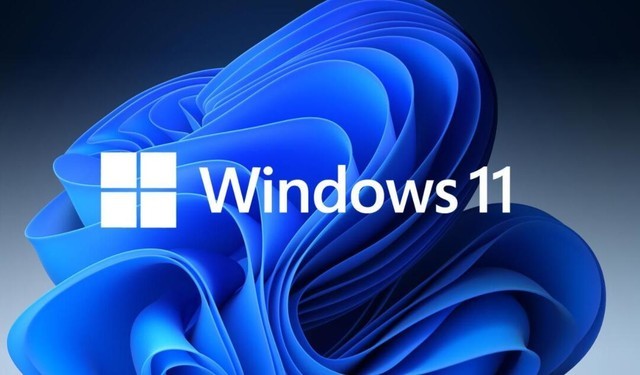 Windows 11 专业版/企业版 简体中文